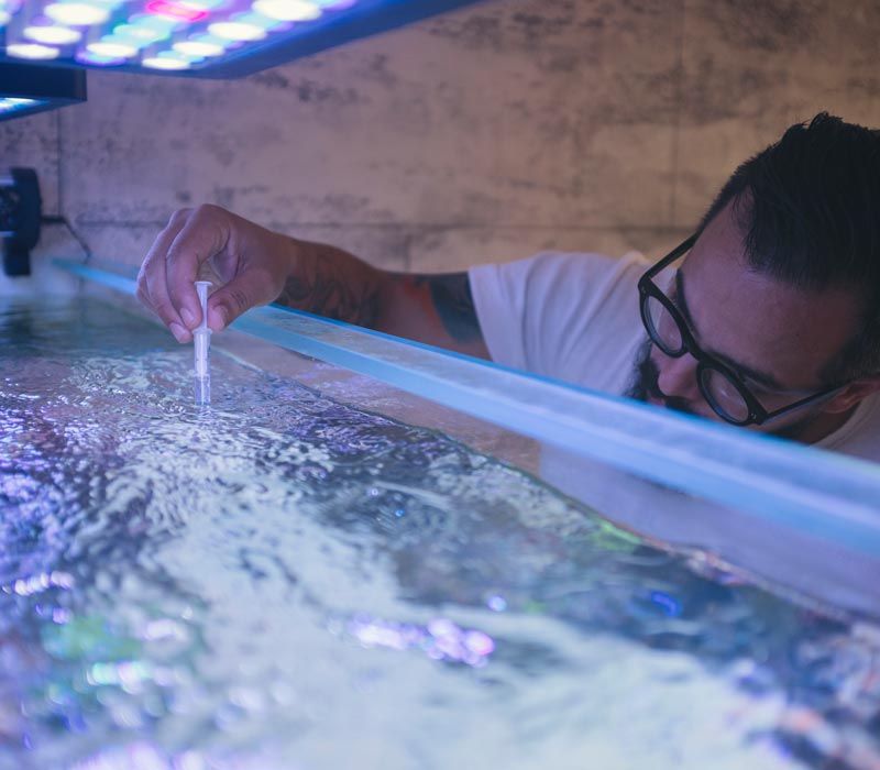 man testing water quality in aquarium