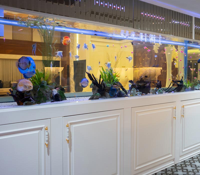 saltwater aquarium in commercial space